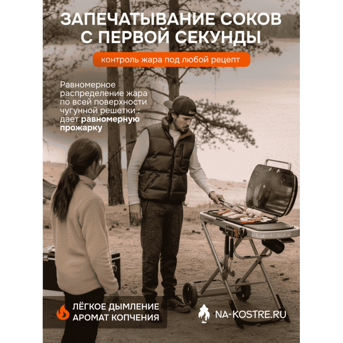 Газовый гриль Weber Traveler 9010033