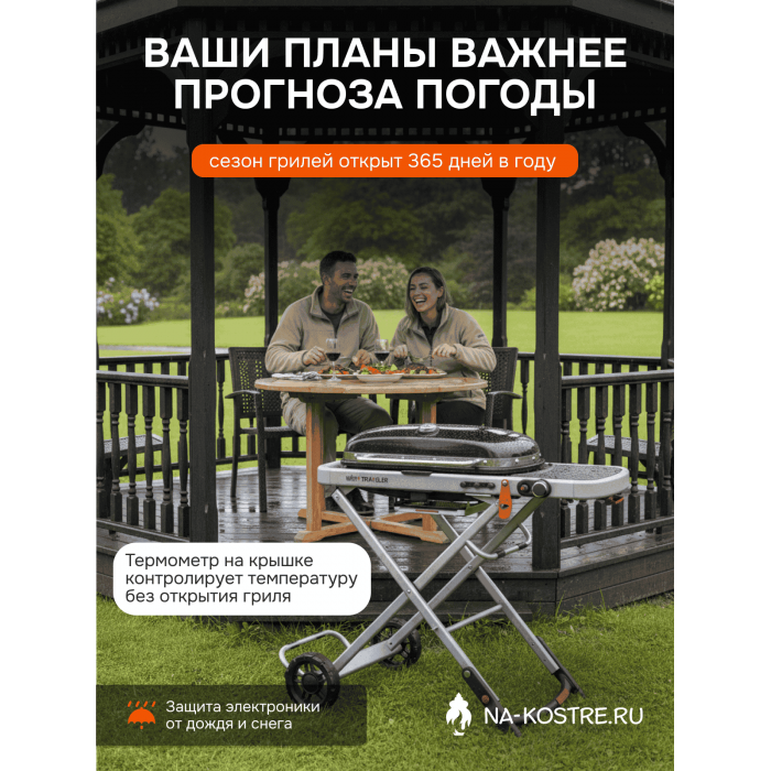Газовый гриль Weber Traveler 9010033