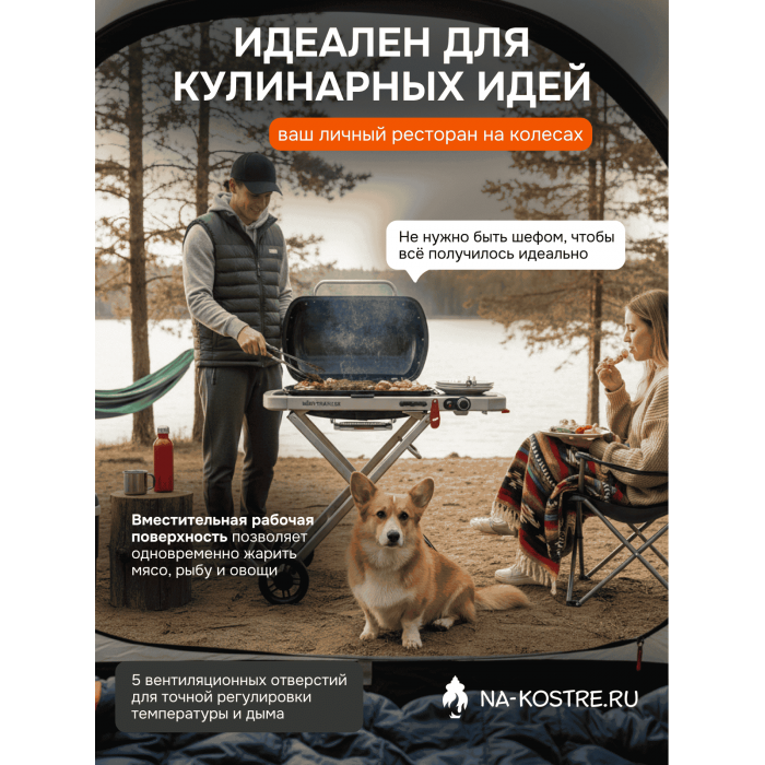 Газовый гриль Weber Traveler 9010033