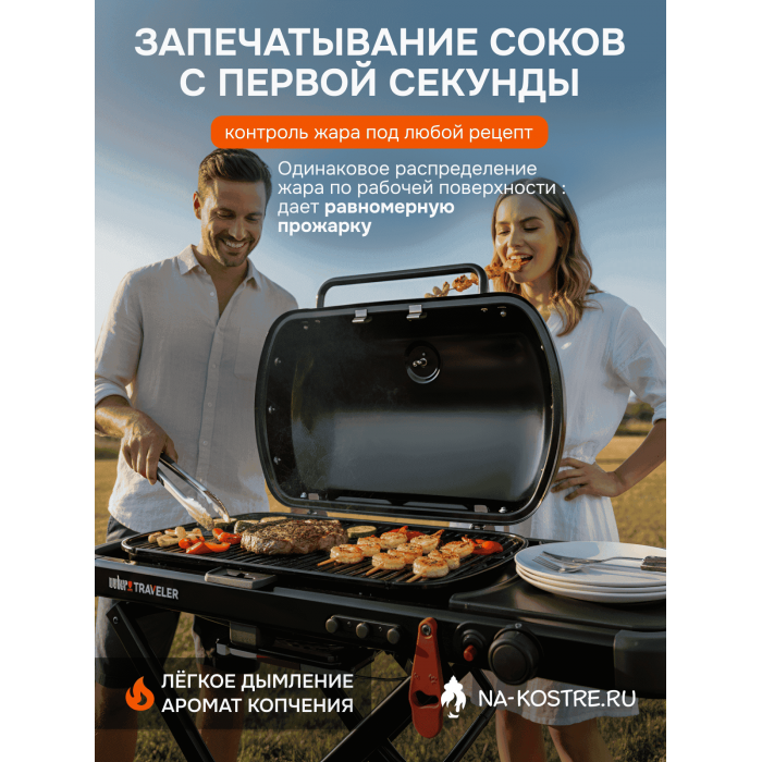 Газовый гриль Weber Traveler Stealth Edition 9013075