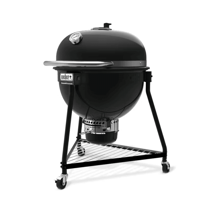Угольный гриль Weber Summit Kamado E6 18201004