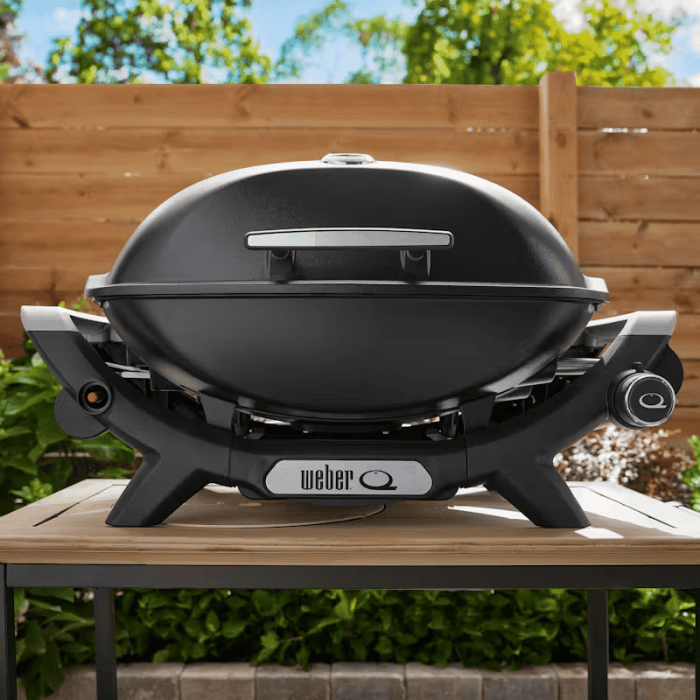 Газовый гриль Weber Q 2100N 1501067