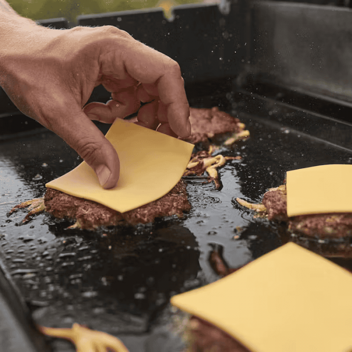 Газовый гриль Weber Spirit E-425 LP Black PL 1500798