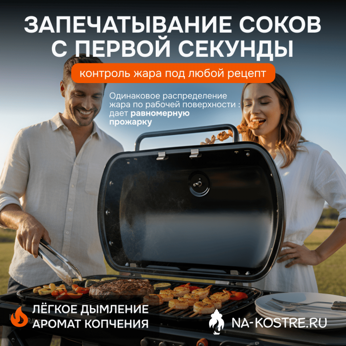 Газовый гриль Weber Traveler Stealth Edition 9013075