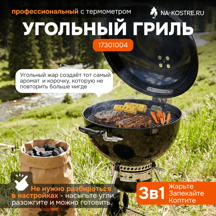 Угольный гриль Weber Master-Touch GBS Premium E-5770 57 cm 17301004