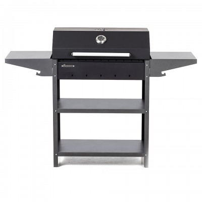 Гриль-мангал Gratar Family Standart BBQ FSB 2000