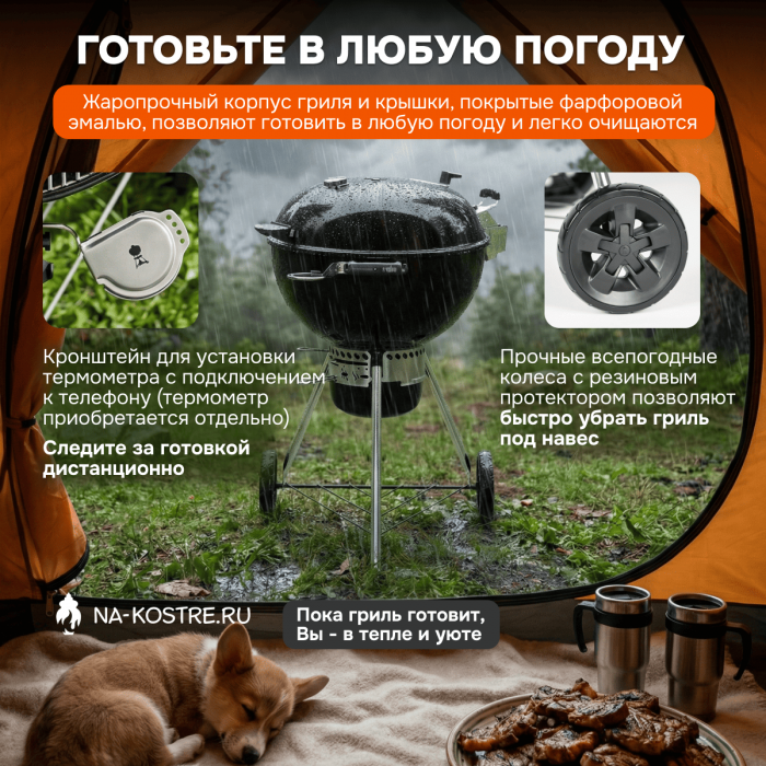 Угольный гриль Weber Master-Touch GBS Premium E-5770 57 cm 17301004