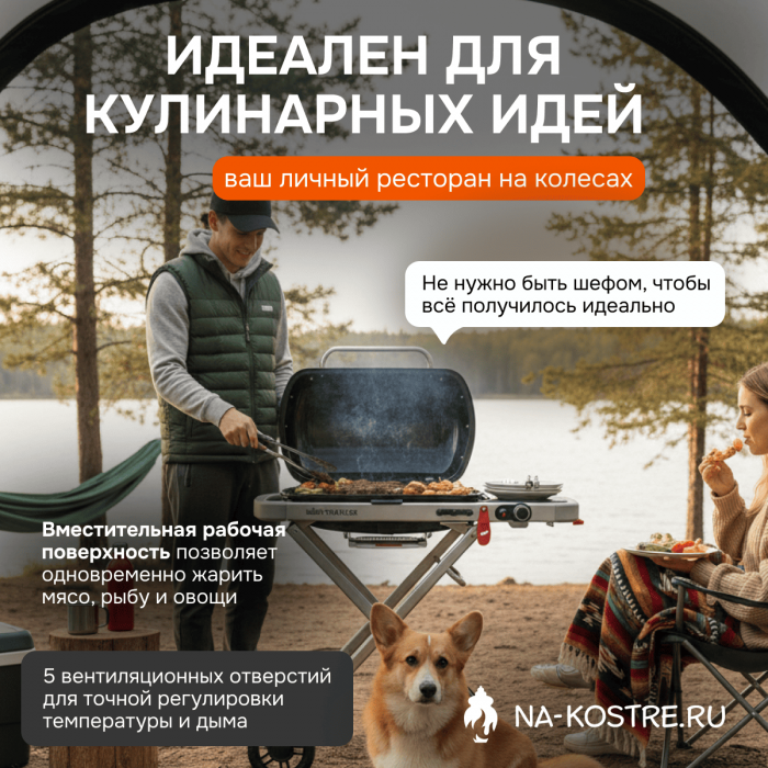 Газовый гриль Weber Traveler 9010033