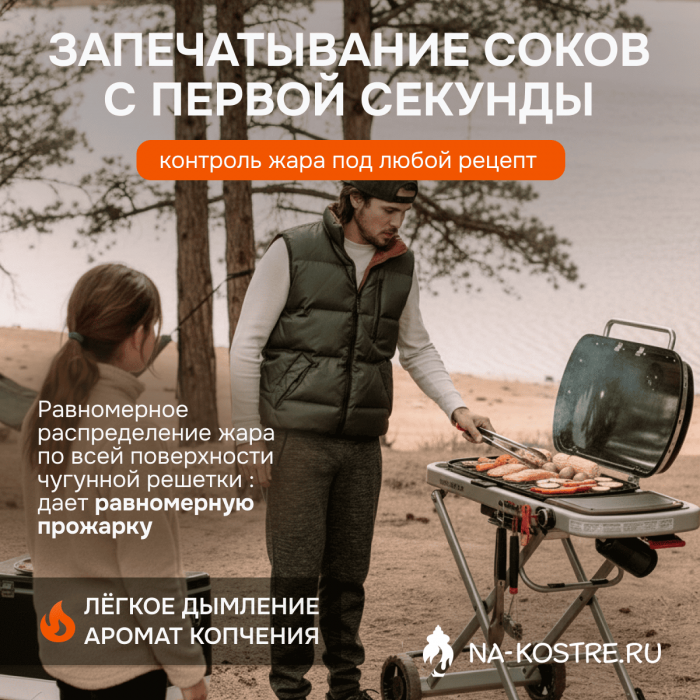 Газовый гриль Weber Traveler 9010033