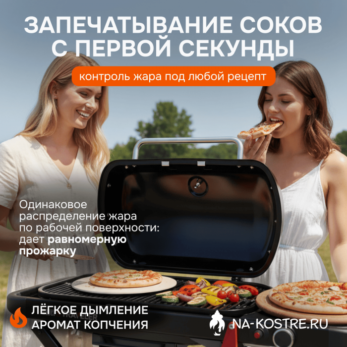 Газовый гриль Weber Traveler 1501742