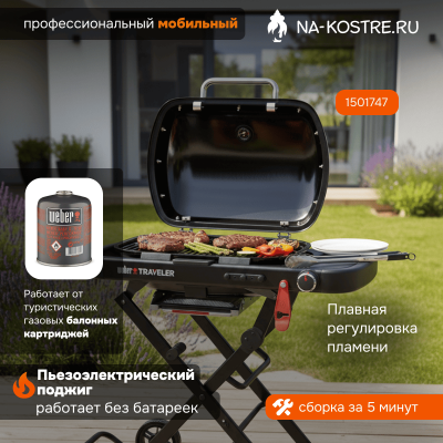 Газовый гриль Weber Q 1200 с подставкой 1501085