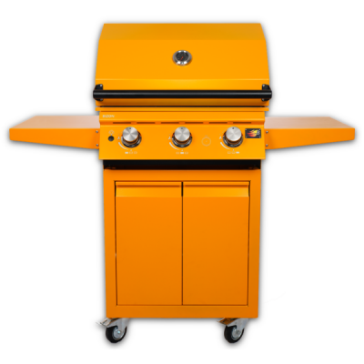Газовый гриль модель B-Fire 04 Bizon Yellow 3